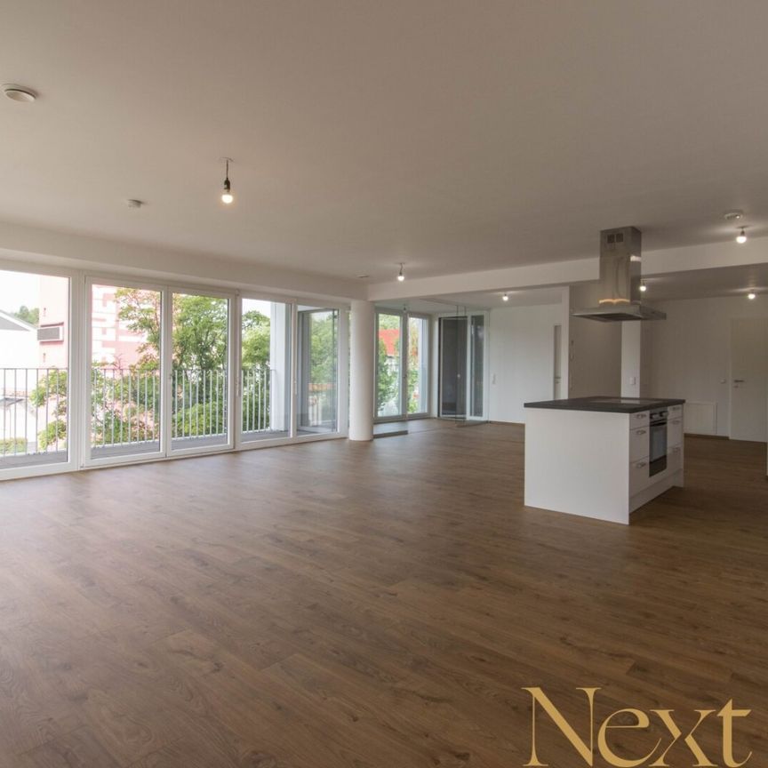 Lichtdurchflutete 2-Zimmer-Wohnung mit Loft-Flair und großzügiger Terrasse in Linz nähe Wifi zu vermieten! (Top 65) - Foto 1