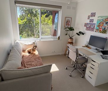 Hawthorn East - Photo 2