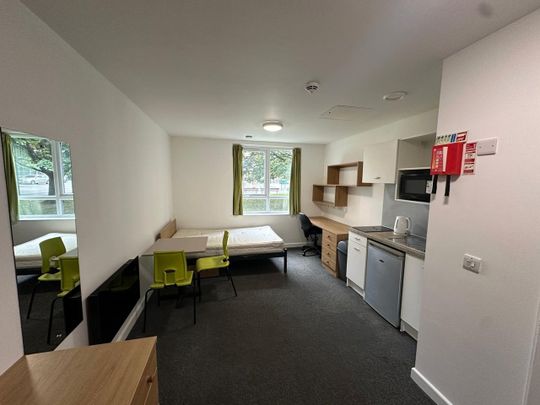 Studio Flat, College House, B8 - Photo 1