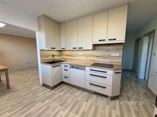 Pronájem stylového bytu 3+1 u nové nemocnice ve Znojmě - Photo 1