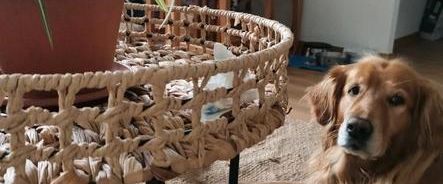 Schöne 1,5 Zimmer Wohung zur Miete / Marzahn - Foto 1