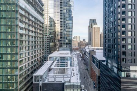 1020 Rue de la Montagne, Montréal - Photo 2