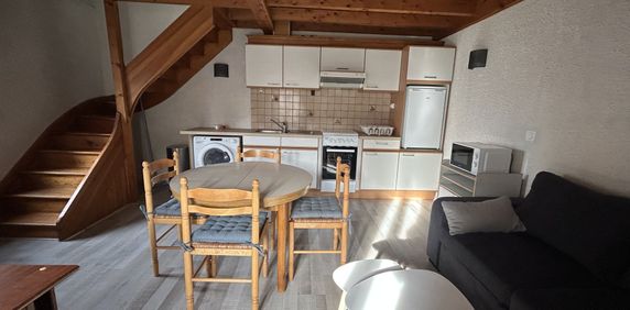 Location Appartement 2 pièces 30m² GERZAT 63360 - Photo 2