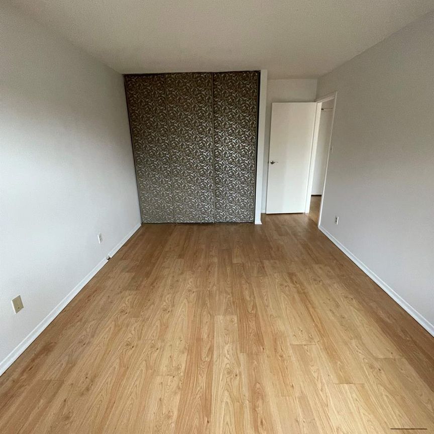 1 CH - 1 SDB - Côte Saint-Luc - $1,304 /mo - Photo 1