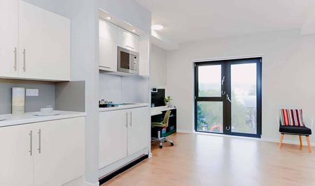 Studio Bronze Plus - Photo 5