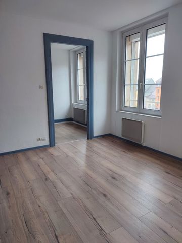 Location Appartement 1 pièce 30m² ALTKIRCH 68130 - Photo 2