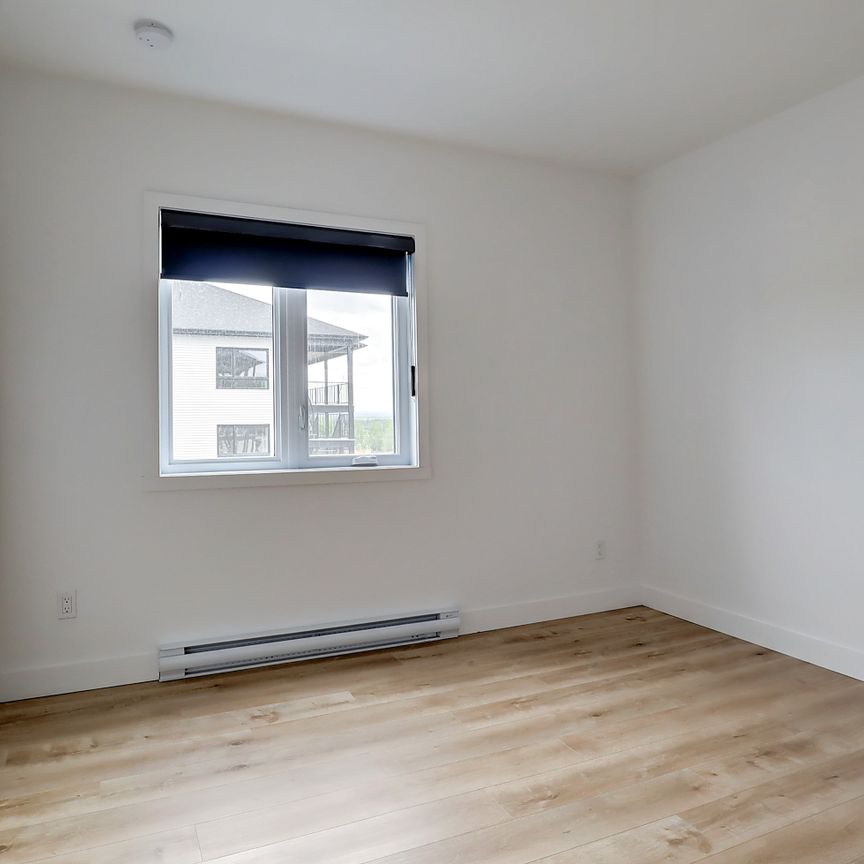 55, rue Michel-Robidoux #302, East-Angus - Photo 1