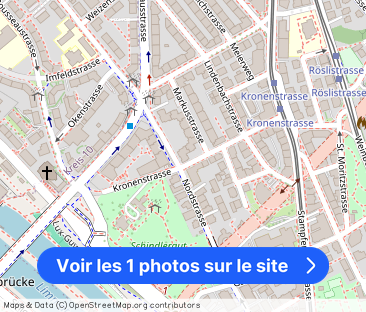 Rent without deposit - beautiful apartment in the heart of Zurich - Photo 1