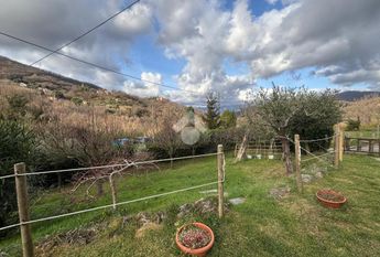 Porzione di bifamiliare in affitto