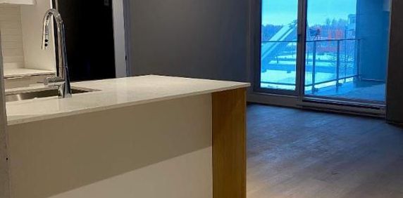 1 CH - 1 SDB - Montreal - $1,700 /mo - Photo 2