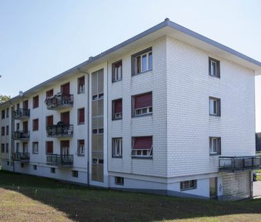 A l’entrée de Gimel, à louer joli appartement de 2 pièces - Photo 1