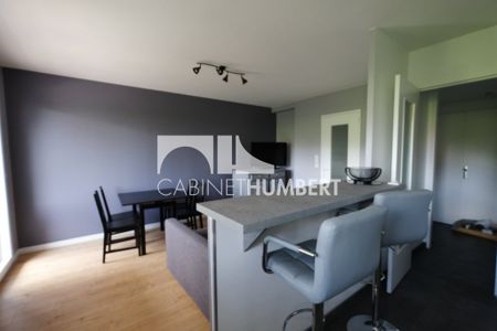 Location Appartement 3 pièces Meublé 58m² ST ETIENNE 42000 - Photo 2