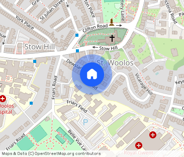 Dewsland Park Road, NEWPORT - Photo 1