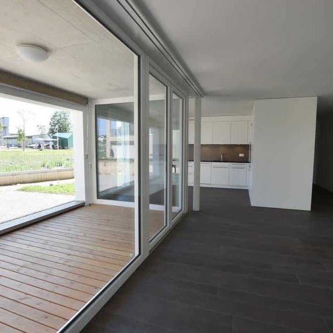 2.5 Zimmer, 62 m², EG - Foto 1