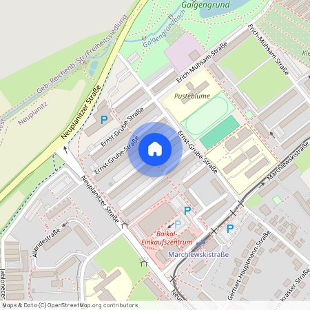 Neuplanitz, E.-Grube-Str. 141, 08062, Zwickau