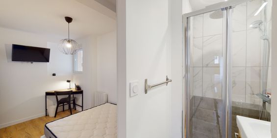 CASSELARDIT P Roommate 4 Bedrooms at Toulouse - Photo 3