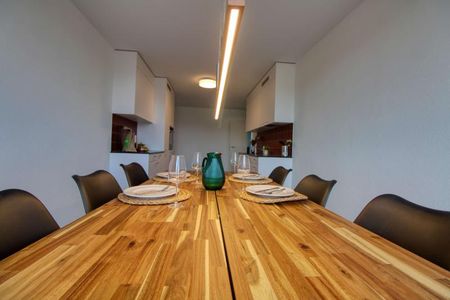 Richard #2 - Spacious Coliving Apartment in Crissier - Photo 2