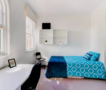 Standard Studio - Photo 3