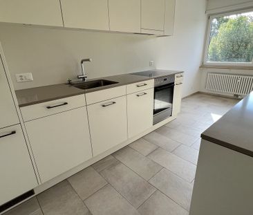 Kinderparadies bei der Grün80 - Foto 1