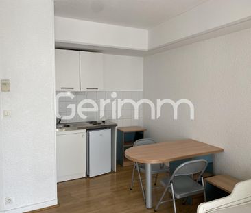 Location Appartement 1 pièce 19,43 m² - Photo 5