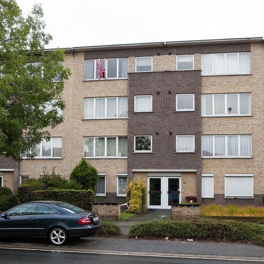 Gezellig wonen in Schoten - Foto 1