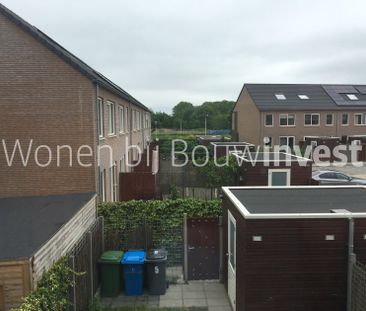 Vossenzoom 217 - Photo 3