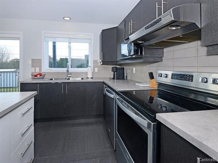 263 Rue Raymond-Benoit, apt. 102 - Photo 4