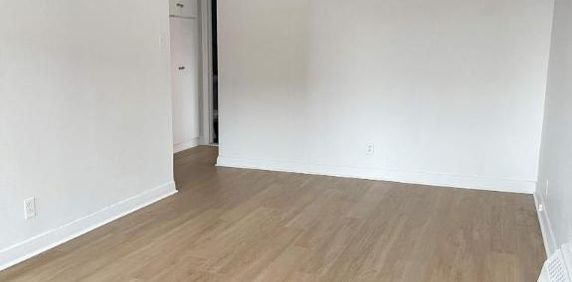 1 CH - 1 SDB - Montréal - $1,395 /mo - Photo 2