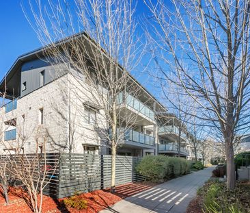 Close to EVERYTHING - Photo 5