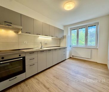 Pronájem bytu 1+1 40 m², Viniční 2977, Brno - Photo 3