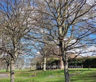 1 Bedroom Flats in Leeds - Photo 1