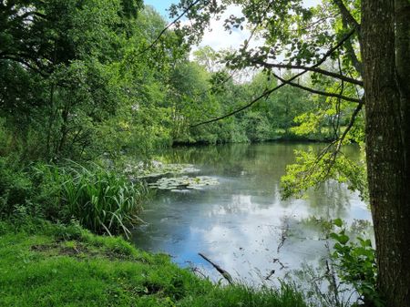 Sjukhemsvägen 11, Anderslöv - Photo 4