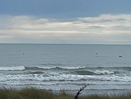 209a Rockinghorse Road - Photo 3