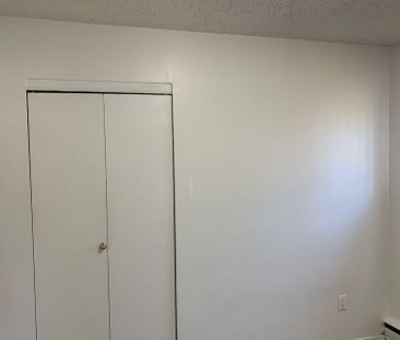 1 BDRM/1 BATH - 2102 MAIN ST - Available DEC 1 - Photo 2