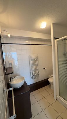 HAUT d'IDRON, Au Calme, T1 BIS Meublé en Résidence récente avec climatisation et parking privé, - Photo 1