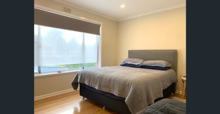 Beautifully Renovated 3-Bedroom Home in Prime Rosetta Location - Photo 5