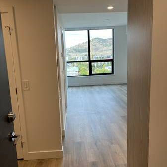 Spacious 1 Bed 1 Bath Condo at Bertram - Photo 4