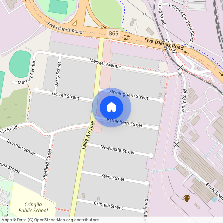 32 Bethlehem Street, 2502, Cringila