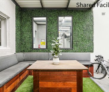 6/117 Probert Street, Newtown NSW 2042 - Studio For Rent | Domain - Photo 2