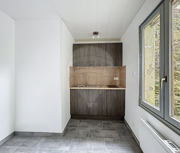 Appartement 1 chambre(s) à louer - Montbéliard - Photo 4
