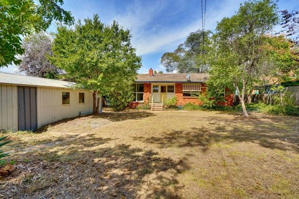 74 Launceston Street, Lyons - Photo 1