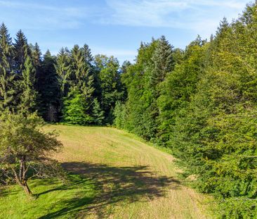 Haus mit großem Grund und Wald zur Miete - Photo 2