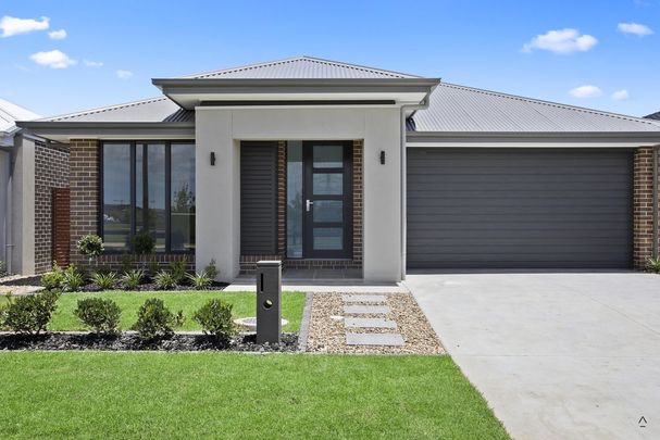 Modern Park-Front Single Level Family Home - Photo 1