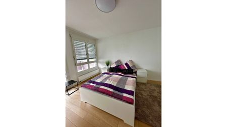 2½ Zimmer-Wohnung in Langwiesen (ZH), möbliert, auf Zeit - Foto 2