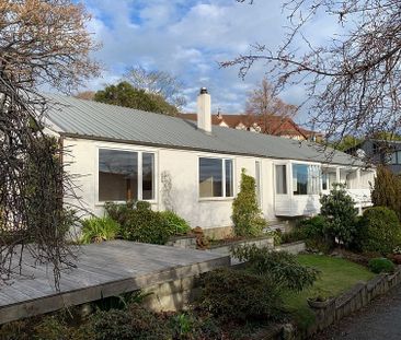 Spacious Sunny Family Home - Photo 3