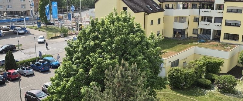 Moderne Wohnung mit tollem Ausblick in MA-Rheinau - 303968 - Photo 1