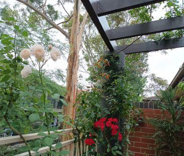 Hornsby - Photo 3