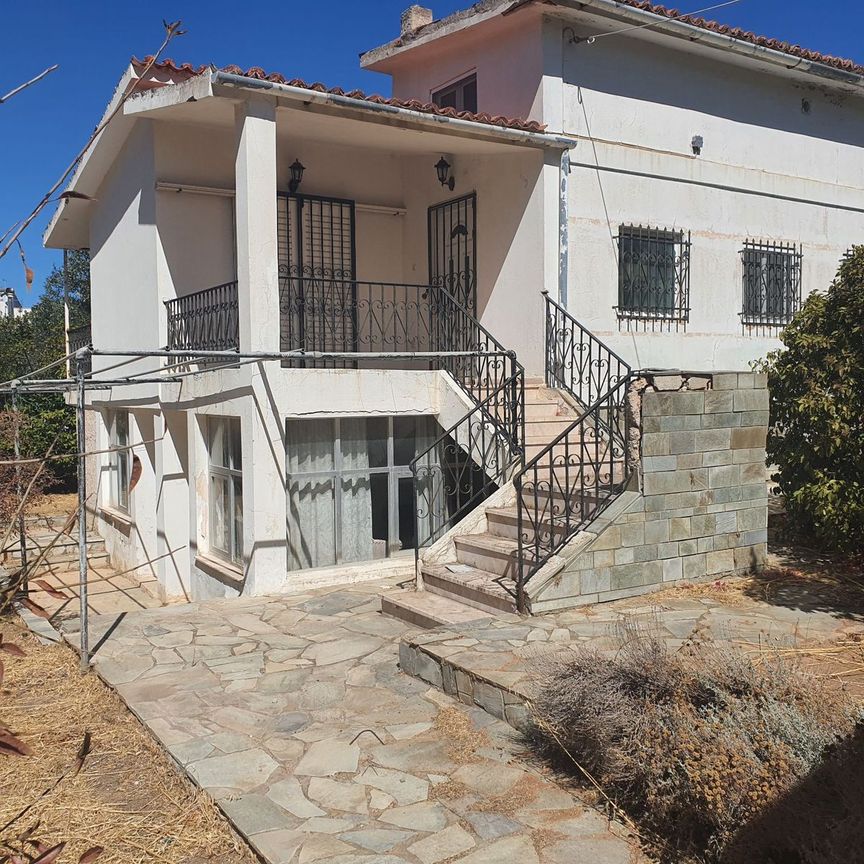 Μονοκατοικία για ενοικίαση Πόρτο Ράφτη (Μαρκόπουλο) - Photo 1