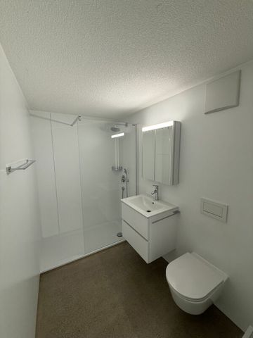 Moderne 2-Zi-Wohnung nahe der Stadt Luzern mit Gartensitzplatz - Photo 4