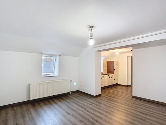Appartement 1 chambre avec jardin à Ortheuville - Foto 1
